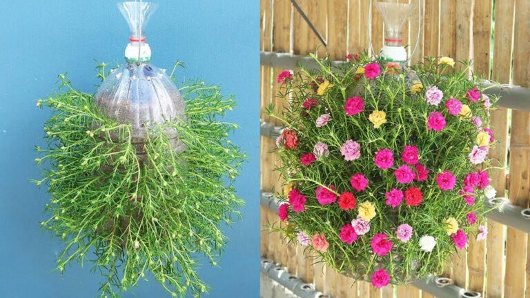 Tu ne vas pas le croire… un jardin suspendu automatique créé avec une bouteille en