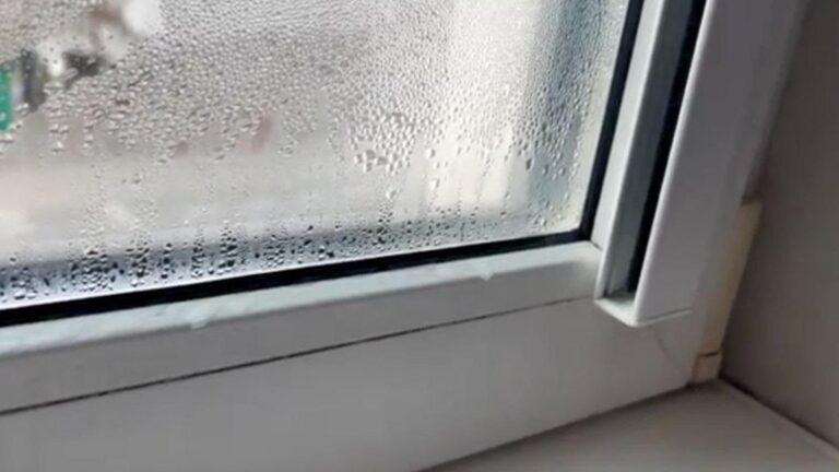 Beaucoup ignorent que ce geste malin élimine la buée sur vos fenêtres…