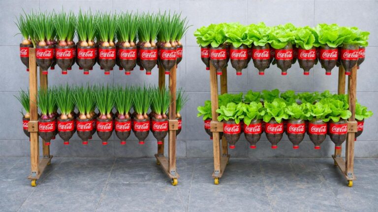 Avec cette méthode simple, transformez vos bouteilles en un potager vertical surprenant…
