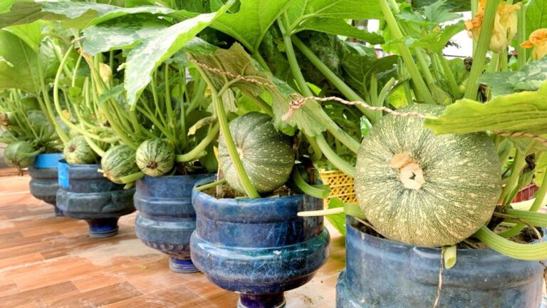 Une astuce naturelle qui change tout : nettoyez vos poumons avec 3 ingrédients courants…