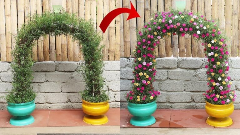 Une idée toute simple pour transformer des bouteilles plastiques en portails fleuris