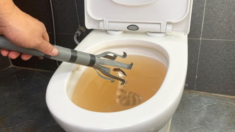 Cette astuce oubliée pour rafraîchir vos toilettes avec du PVC et du bicarbonate…