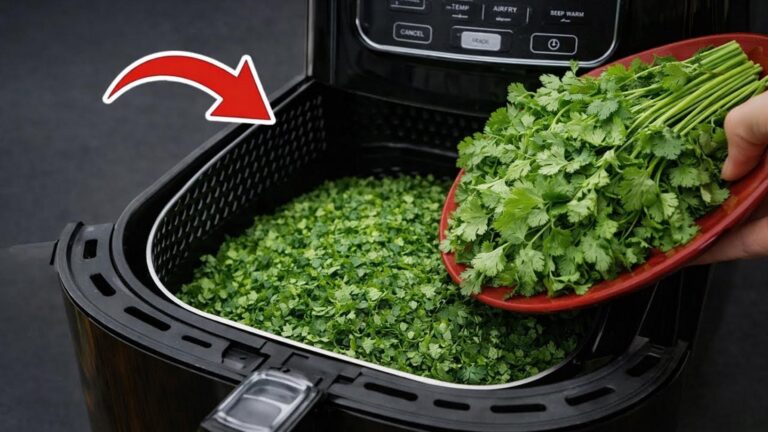 Découvrez comment garder votre coriandre fraîche toute l&rsquo;année avec une astuce simple…