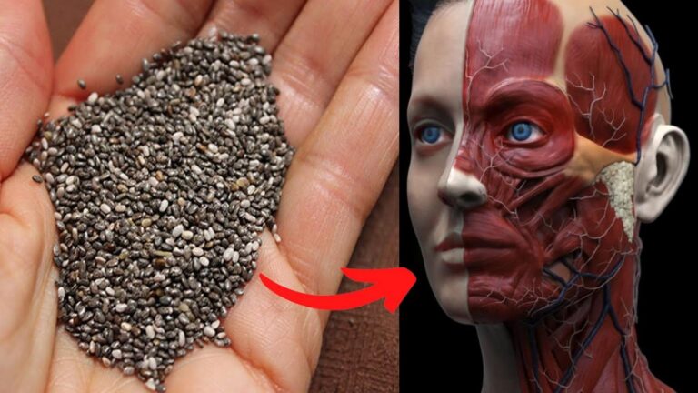 Une idée toute simple… découvrez comment les graines de chia transforment votre santé !