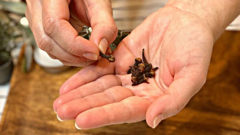 Ce simple mélange maison promet de libérer vos poumons en seulement trois jours…