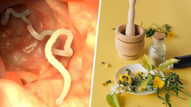 Une idée toute simple pour éliminer les parasites naturellement… et retrouver votre