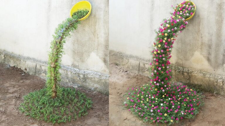 Tu ne vas pas le croire… Une cascade fleurie spectaculaire avec seulement quelques Portulacas !