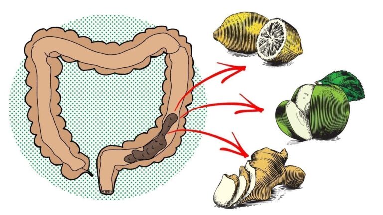 6 astuces naturelles pour une détox du côlon efficace et rapide !