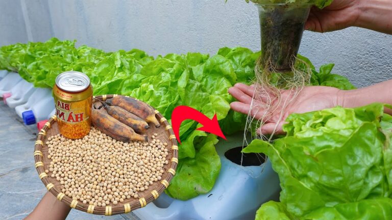 5 astuces pour cultiver des légumes en contenants plastiques grâce à l&rsquo;hydroponie