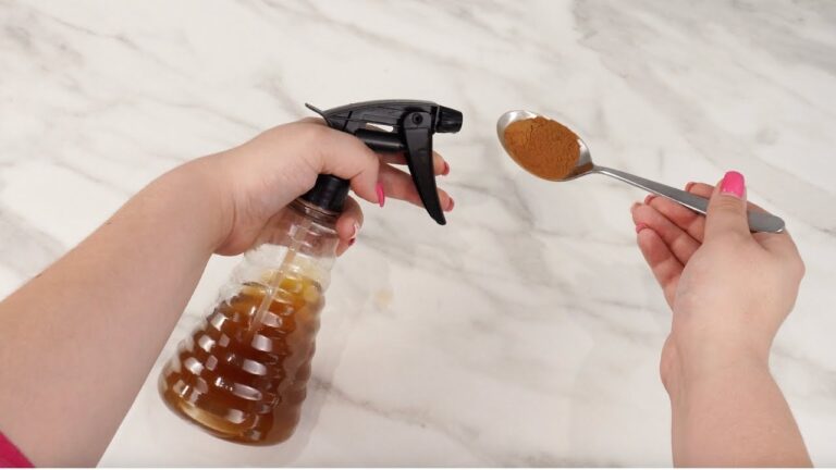 5 astuces naturelles pour éloigner moustiques et mouches de votre maison