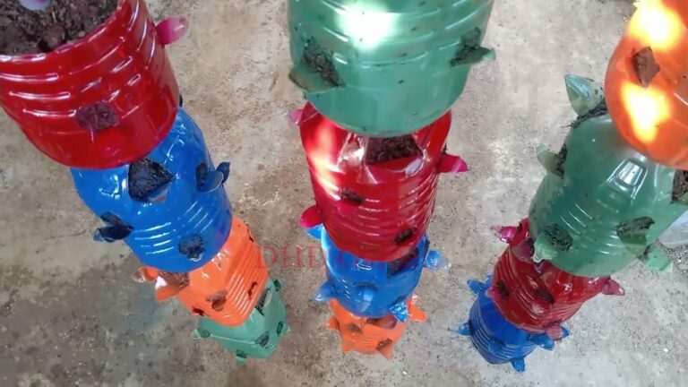 7 astuces pour recycler des bouteilles en plastique et cultiver des légumes suspendus à la maison