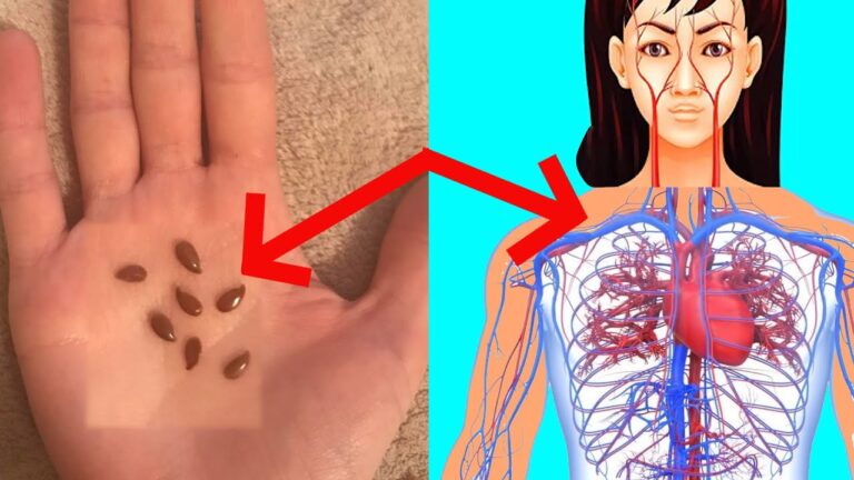 Découvrez 5 bienfaits étonnants des graines de lin à ajouter à votre quotidien !