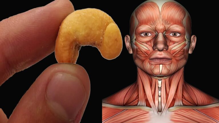 Découvrez 7 bienfaits incroyables à manger 4 noix de cajou chaque jour !