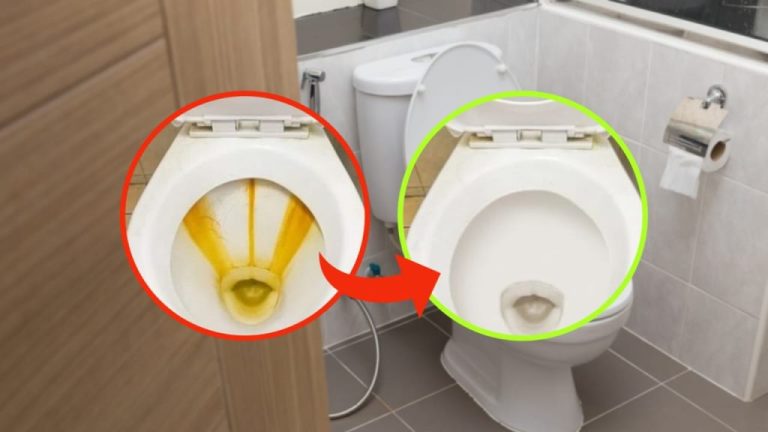 Adieu les traces de calcaire dans les toilettes : l&rsquo;astuce facile à connaître