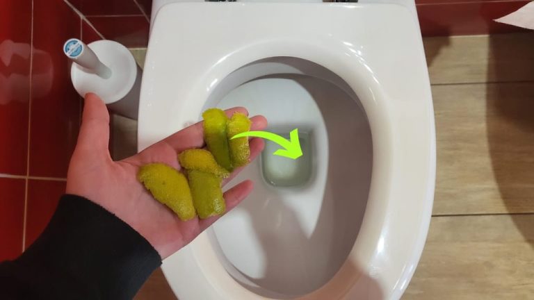 Des écorces de citron dans les toilettes : l&rsquo;astuce incontournable avant de dormir