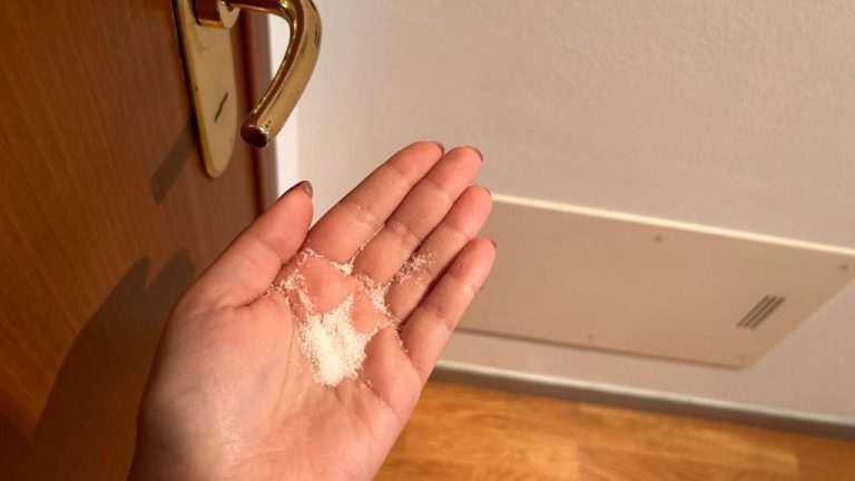 Pourquoi le paillis est essentiel devant votre porte en hiver