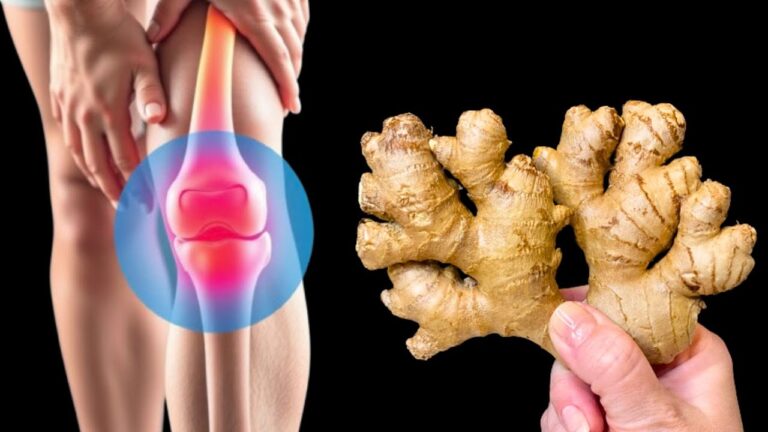 Découvrez les 5 bienfaits étonnants du gingembre pour retrouver la forme !