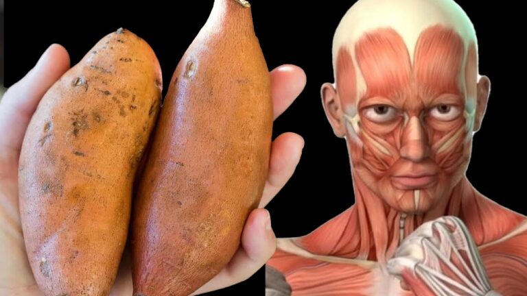 Découvrez 5 bienfaits étonnants des patates douces à intégrer dans votre quotidien !