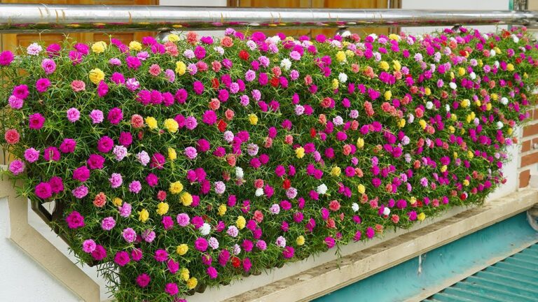 Transformez votre balcon en jardin avec 5 astuces simples et écologiques !