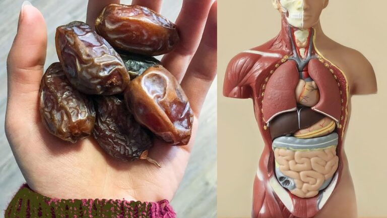 Découvrez les 7 bienfaits incroyables de manger 2 dattes par jour !