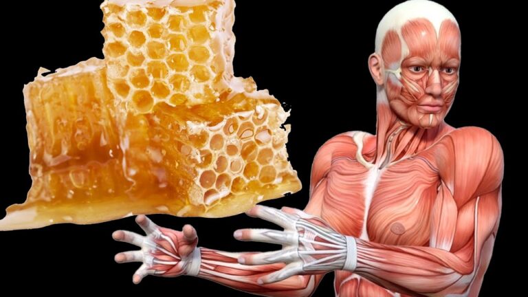 Découvrez 5 bienfaits surprenants sur votre corps en mangeant du miel !