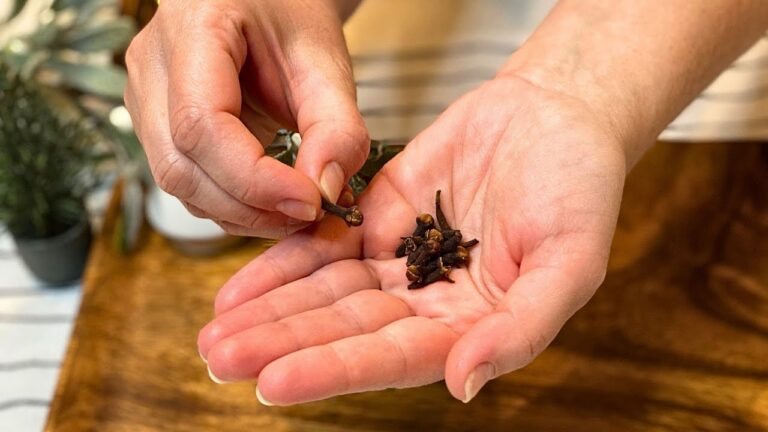 Délivre-toi de la toux en 3 jours : recette naturelle efficace pour les bronchites