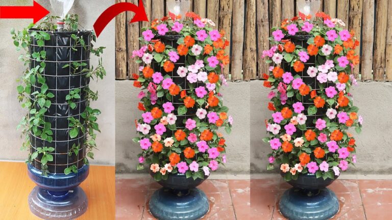 5 idées éclatantes pour faire fleurir un jardin de jade magnifique !