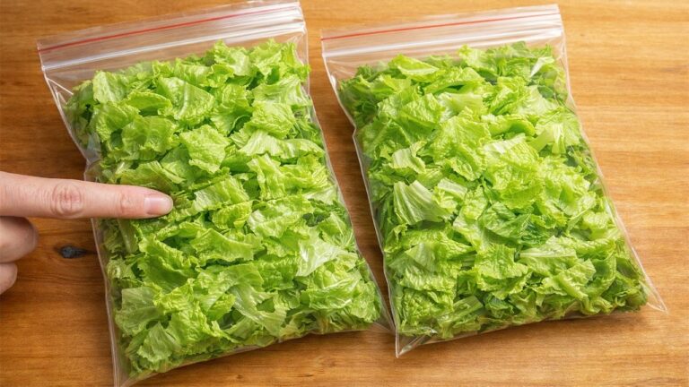 Gardez votre salade fraîche 2 fois plus longtemps avec ces astuces simples !