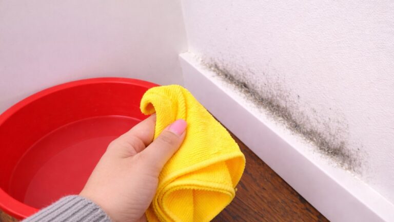 Découvrez 1 étape simple pour garder votre maison impeccable tout le temps !