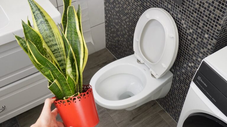 5 raisons de garder une plante serpent dans votre salle de bain pour un espace revitalisé