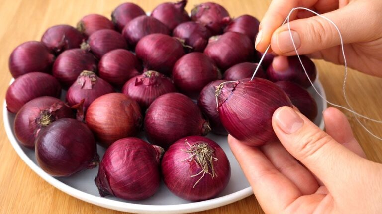 Découvrez 5 recettes simples et délicieuses avec une aiguille et un oignon !