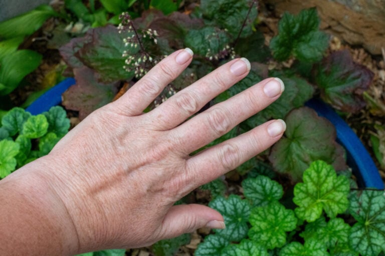 Jardinage : astuces pour des mains douces et des ongles sublimes